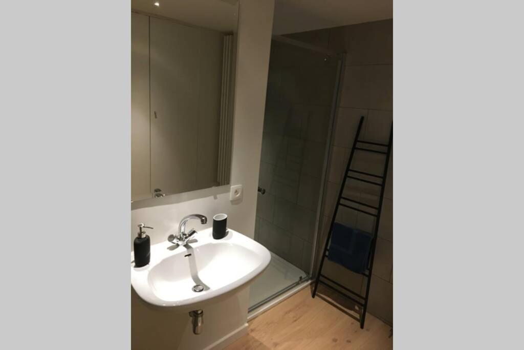Studio2 Ename, Dakappartement In Vlaamse Ardennen Oudenaarde Eksteriør bilde